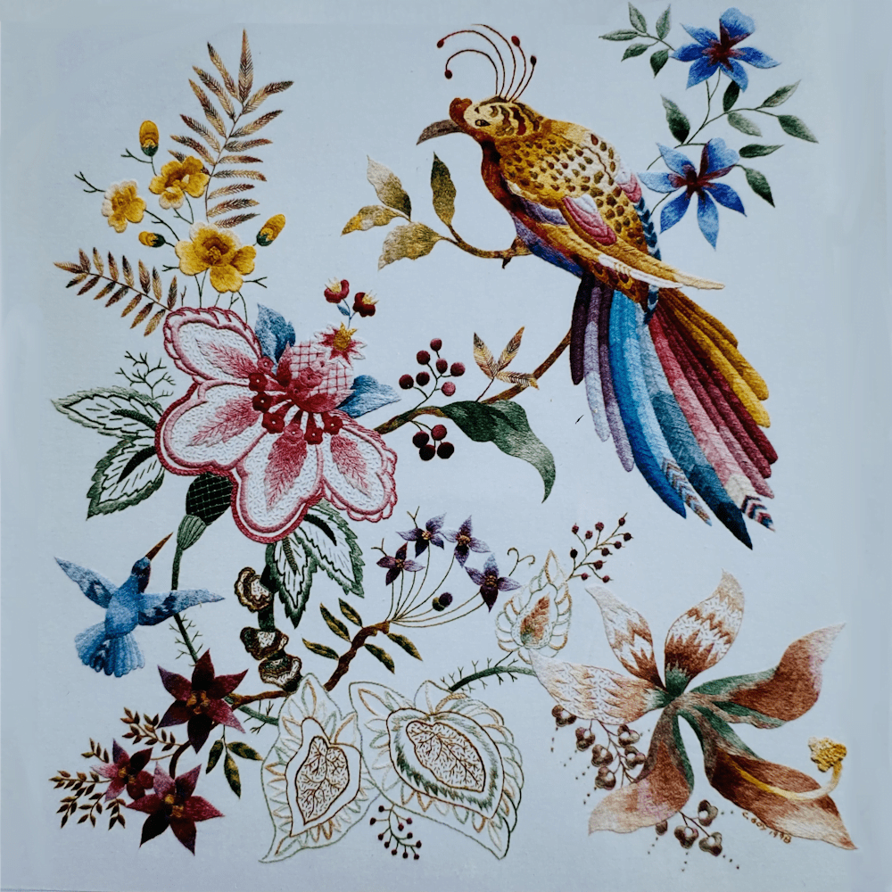 Firebird 1 DFB1 Firebird