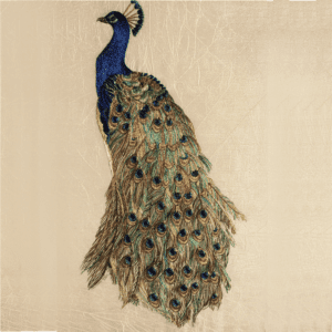 DPE1 Peacock