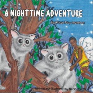 NP2 A Nighttime Adventure