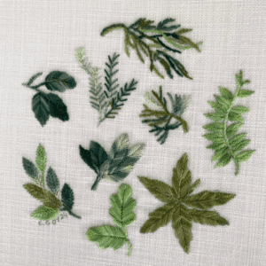 Best Sellers 6 Leafy Greens